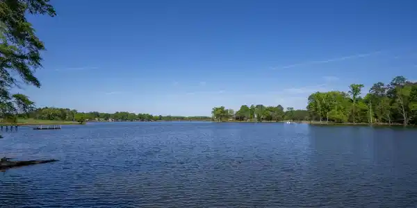 Image 1: Beautiful Lake Murray