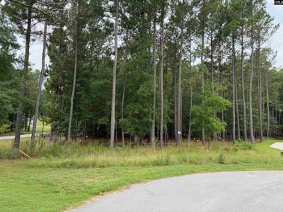 Lot 136 Stewart Landing Drive