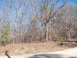1544 Wild Turkey Road