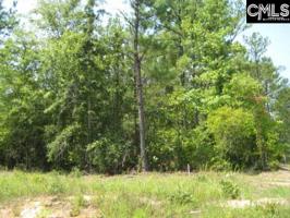 Lot 1B COLONELS Circle