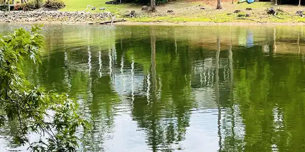 tbd Lake Drive