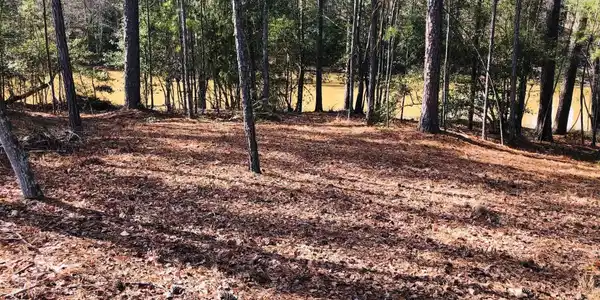 Osprey point