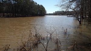 Lot 7 RIVER ROAD 7