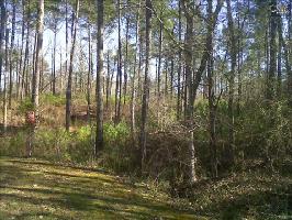 56 ROLLING HILLS ROAD 56