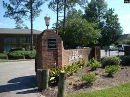 5516 Lakeshore Drive C-201