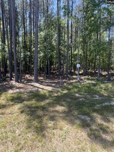 167 Timber Trail Lane