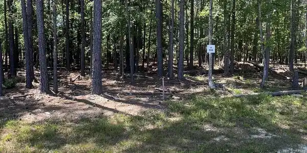 167 Timber Trail Lane