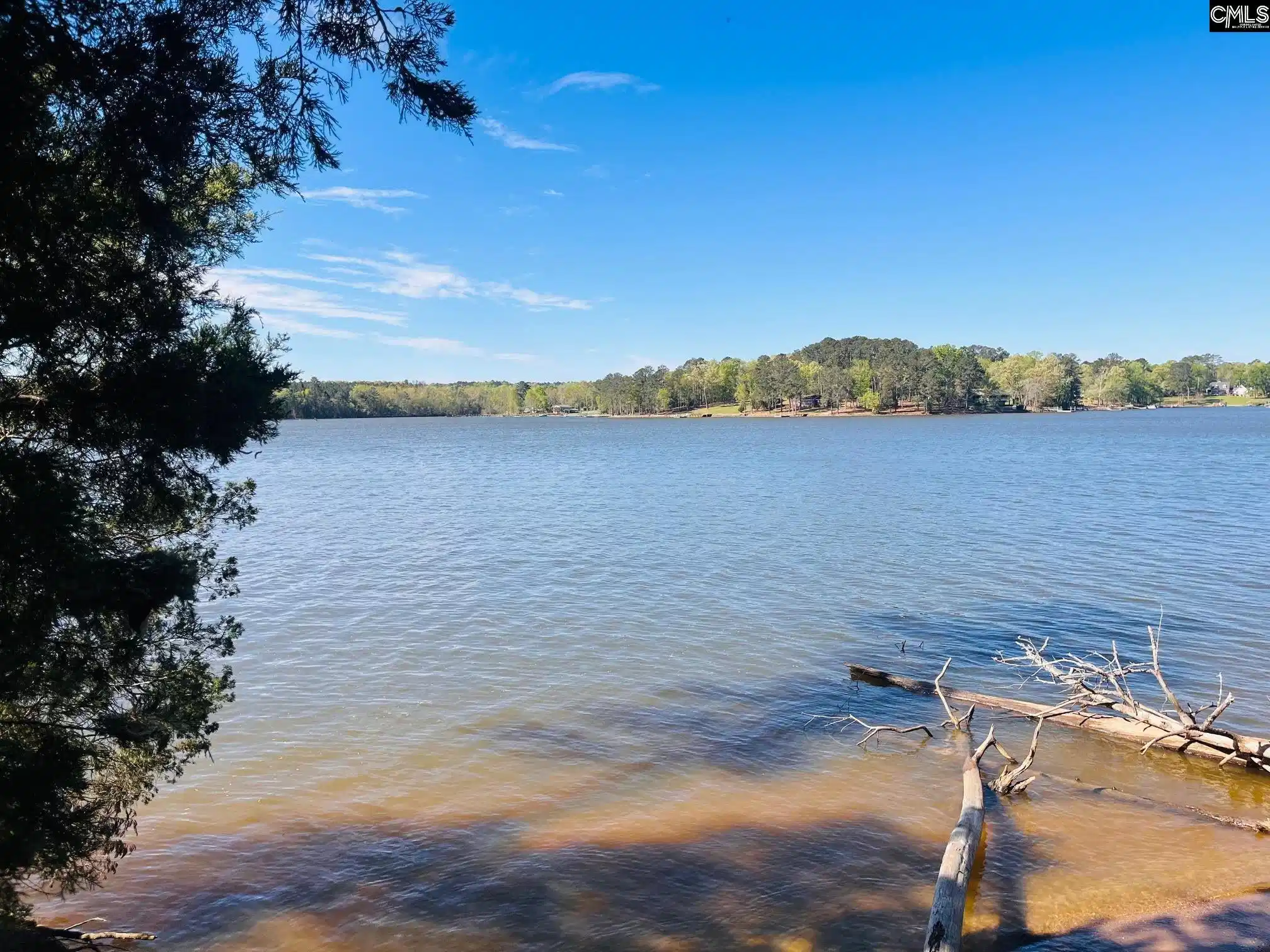 Image 0: shoreline