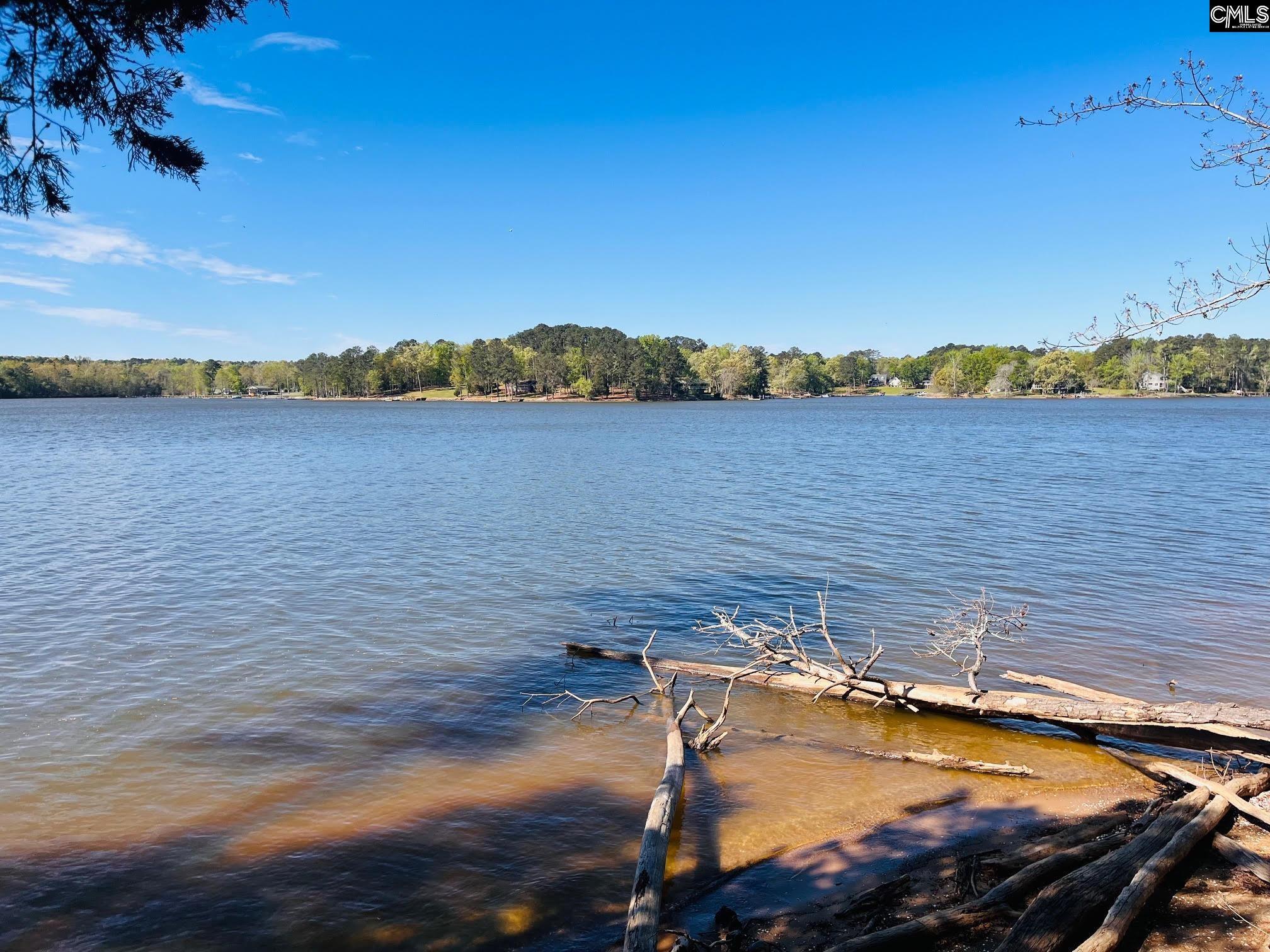 Image 1: shoreline