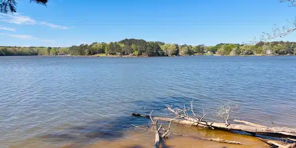 Image 1: shoreline