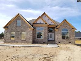 356 Congaree Ridge Court