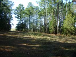 Lot D-1, Lot F State Hwy 215