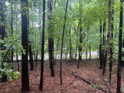 Great North Road Lot 4-B