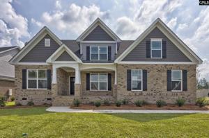 343 Congaree Ridge Court