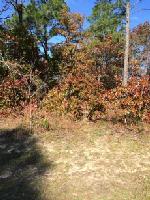 209 HARBOR DRIVE 53
