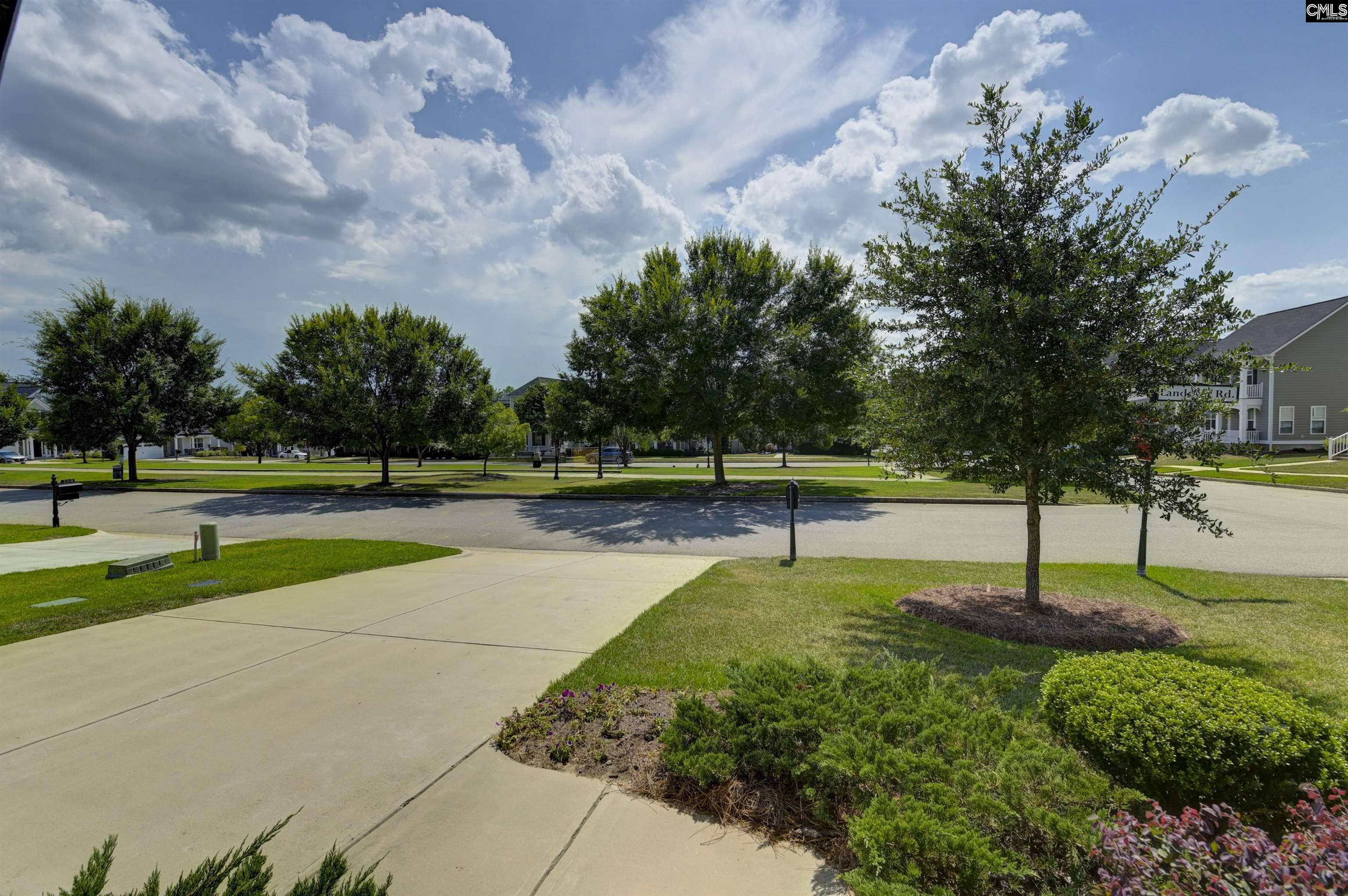 Image 2: Driveway