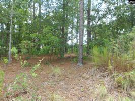 736 Long Pointe Lane