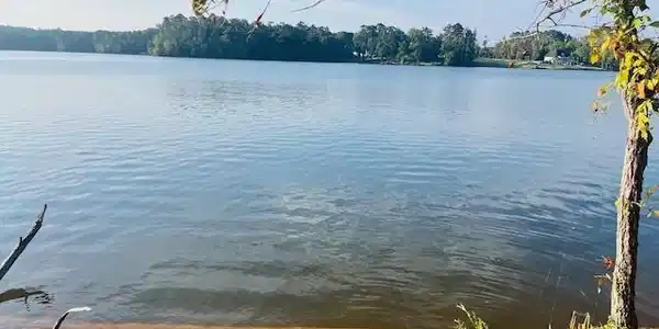 Image 1: waterfront lot 212