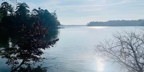 Image 2: waterfront lot 212