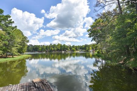 507 Canasta Drive