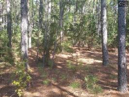 3885 PEARSON Road