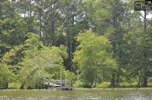337 RATTLESNAKE Road
