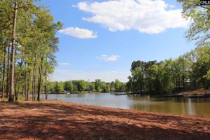 River & Rockbridge Road