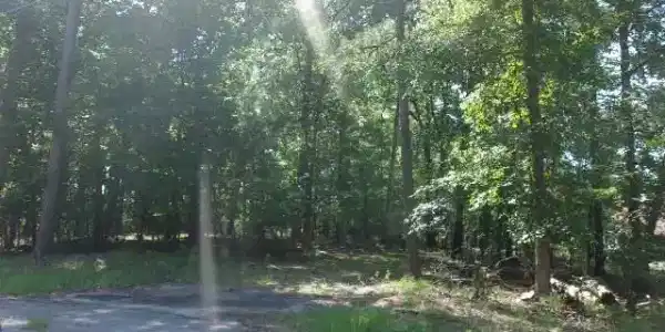 216 Rebecca Drive