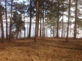 119 SMOOTH ROCK POINT Road
