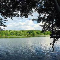 Lot 4 DEBUTARY CREEK ROAD