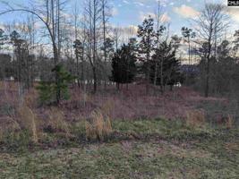 lot 35 Big Water View