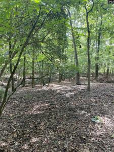 0 Lominack Road
