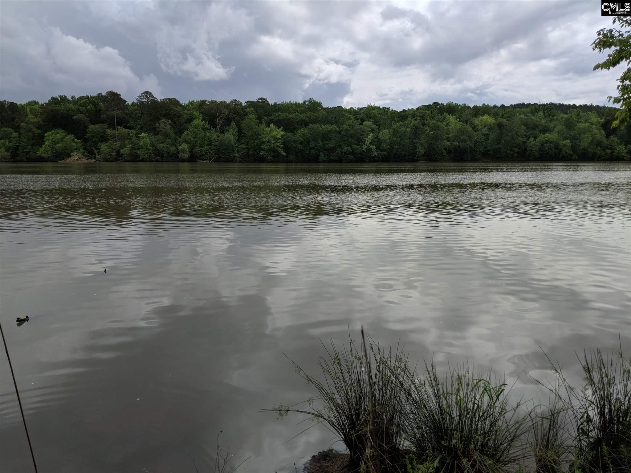 1043 Debutary Rd., Great Falls, SC lhrmls00634784