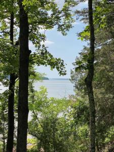 Lots 40 & 41 Wateree Key Court