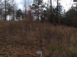Lot 10 Molly Creek Circle