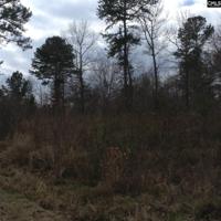 Lot 9 A Molly Creek Circle