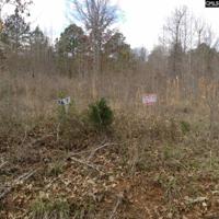 lot 9 Molly Creek Circle