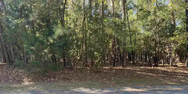 541 Wateroak Trail