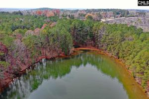 1131 Cole Trestle Road