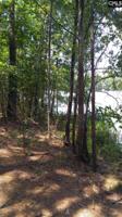 3990 Pearson Road 17