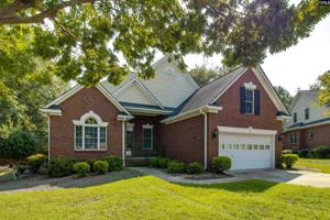108 Basset Loop