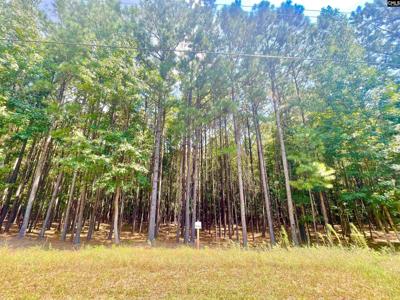 Lot 202 Peninsula Drive