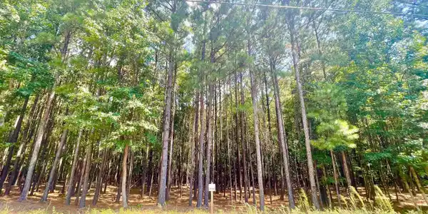 Lot 202 Peninsula Drive