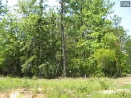 Lot 1B COLONELS CIRCLE