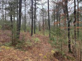 TBD Rolling Hills Road