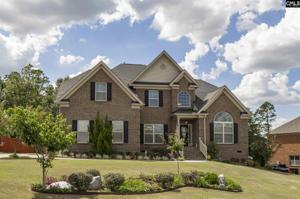 119 Hickory Knob Court