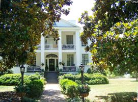 5264 STATE HIGHWAY 215 S