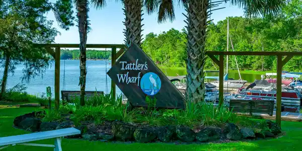113 Tattlers Trail