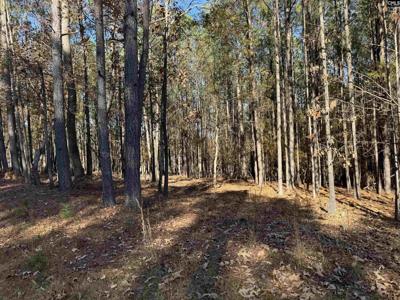 Lot 203 Peninsula Drive