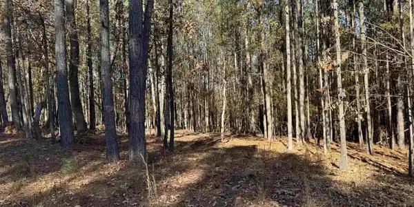 Lot 203 Peninsula Drive